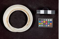 Foto (unten) von Ring 2 (NHMW-ZOO-MO-0081100-ETH-140)